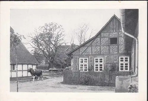 AK Wiedensahl Schaumburger Land Geburtshaus Wilhelm Busch    (31748