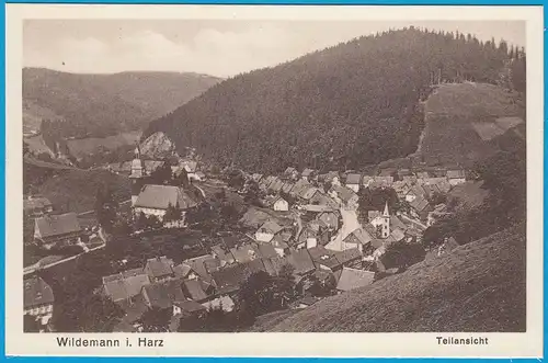 AK Wildemann i. Harz Goslar Teilansicht   (2451