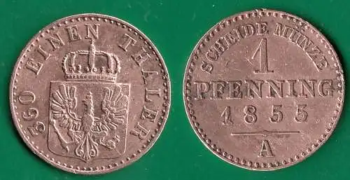 Brandenburg-Preussen 1 Pfennig 1855 A Friedrich Wilhelm IV. 1840-1861  (32542