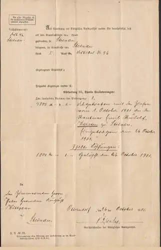 1901 Portopflichtige Dienstsache Otterndorf nach Steinau mit Inhalt   (32495