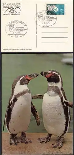 AK Pinguine + SST Eröffnung Allwetter-Zoo Münster  2.5.1974   (32725