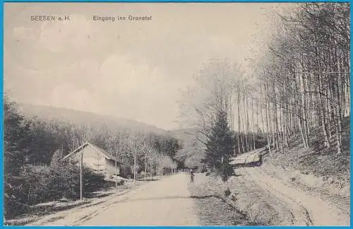 AK Seesen a. Harz Granetal Goslar 1909   (2452