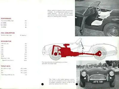 AC Cobra Prospekt 1965