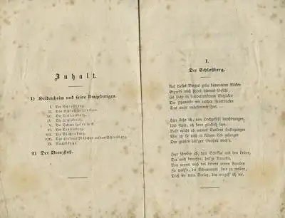 Erinnerungen an Heidenheim und seine Umgebung in 10 Gesängen 1844