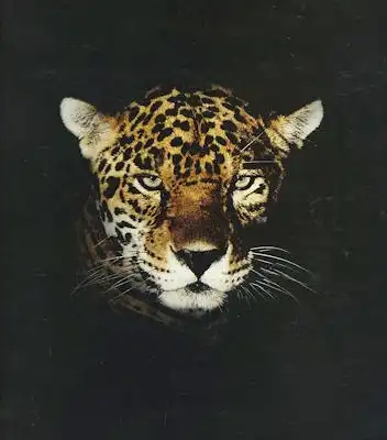 Jaguar Programm 11.1991