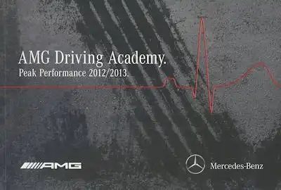Mercedes-Benz AMG Driving Performance 2012/2013