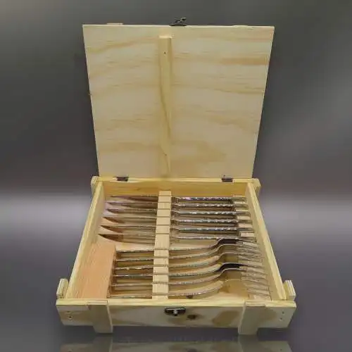 ZWILLING Steakbesteck / Grillbesteck SET 12 teilig Edelstahl mattiert im Holzbox