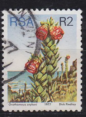 SÜDAFRIKA SOUTH AFRICA [1977] MiNr 0528 A ( O/used ) Pflanzen