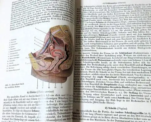 GRUNDLAGEN der Medizin für Heilberufe - Großbuch - Leineneinband, blau - 1955. 