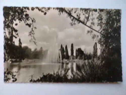 Zweibrücken / Pfalz - Rosengarten - Fontäne (1956 gelaufen) Ansichtskarte