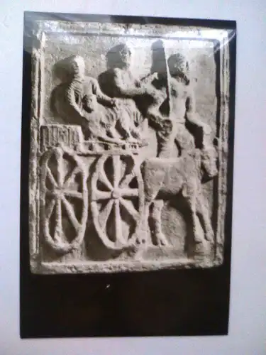 Dobrogea - Museum - Muzeul regional de arheologie Dobrogea - Sectia Adamclisi - Rumänien (ungelaufen) Postkarte / Ansichtskarte