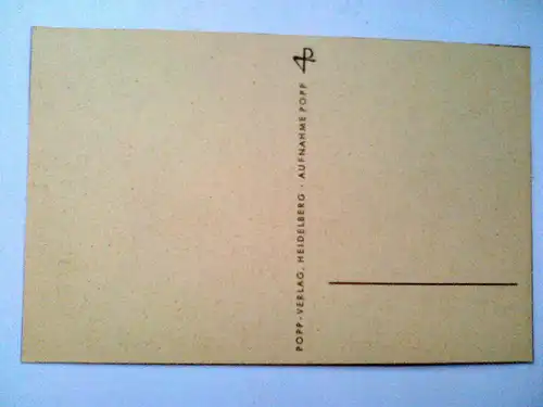 Sonnenblumen Sonnenblume Blumen Blume Popp Popp-Verlag Heidelberg (ungelaufen) Postkarte