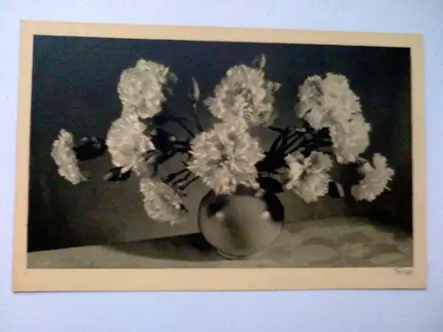 Nelken Nelke Blumen Blume Vase Popp Popp-Verlag Heidelberg (ungelaufen) Postkarte