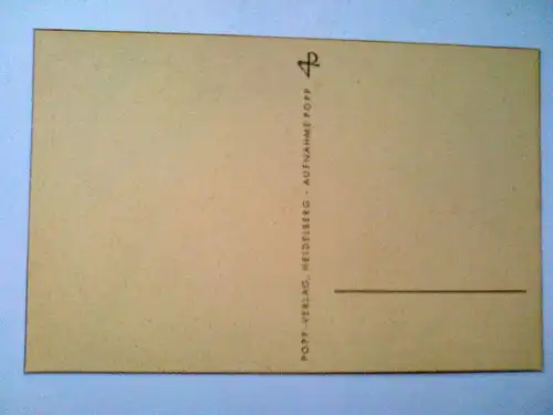 Nelken Nelke Blumen Blume Vase Popp Popp-Verlag Heidelberg (ungelaufen) Postkarte