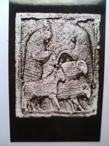 Adamclisi - Denkmal von Adamclisi - Metope mit Schafherde (ungelaufen) Postkarte / Ansichtskarte