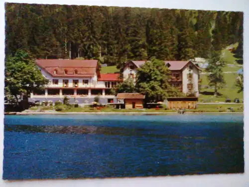 Reutte - Hotel Seespitze am Plansee - 976 m / Tirol Österreich (ungelaufen) Ansichtskarte