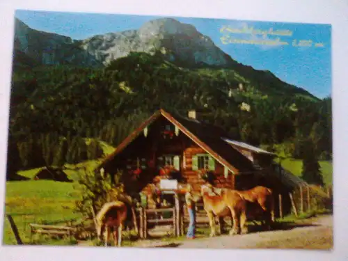 Sankt Gilgen - Buchberghütte Buchberghuette Eisenaueralm 1100 m - Pferd Pferde etc. - St. Gilgen Salzkammergut Salzburg Österreich (1990 gelaufen) Ansichtskarte