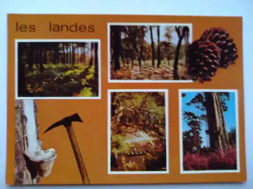 Landes - les landes - Visages des Landes - Baum Bäume Baeume Wald Wälder Waelder etc. - Frankreich - Mehrbildkarte (ungelaufen) Ansichtskarte