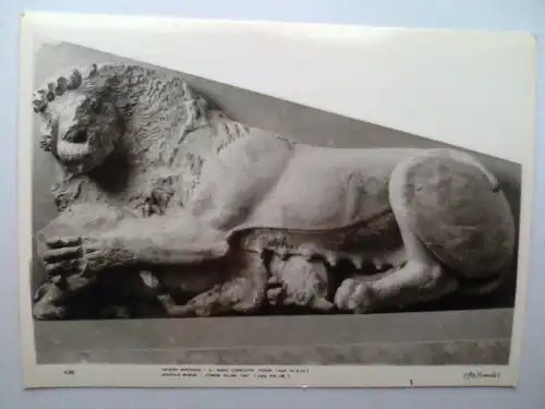 Athen - Akropolismuseum - Löwe tötet Calf - Loewe - Griechenland (ungelaufen) Postkarte / Ansichtskarte