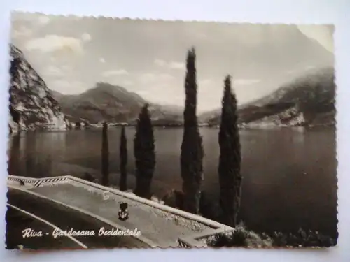Riva del Garda - Gardesana Occidentale - Baum Bäume etc. - Trentino-Südtirol Italien (1955 gelaufen) Ansichtskarte