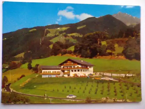 Verdins / Schenna bei Meran - Pension Wickertsheim - Trentino-Südtirol Italien (ungelaufen) Ansichtskarte