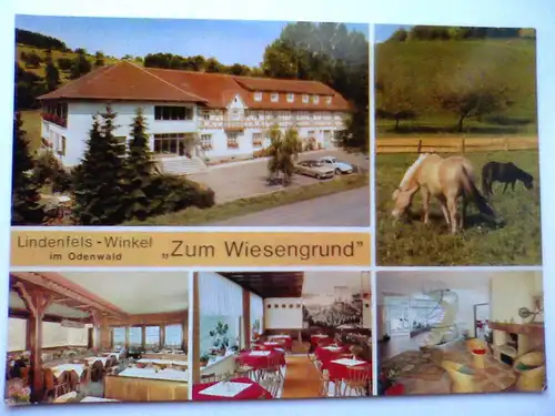 Lindenfels / Winkel - Restaurant - Café und Pension Zum Wiesengrund - Pferd Pferde etc. Mehrbildkarte - Hessen (ungelaufen) Ansichtskarte