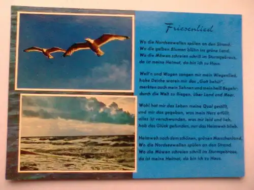 Friesenlied - Liedkarte Liederkarte - Möwe Möwen Moewe Moewen etc. Mehrbildkarte (ungelaufen) Postkarte / Ansichtskarte