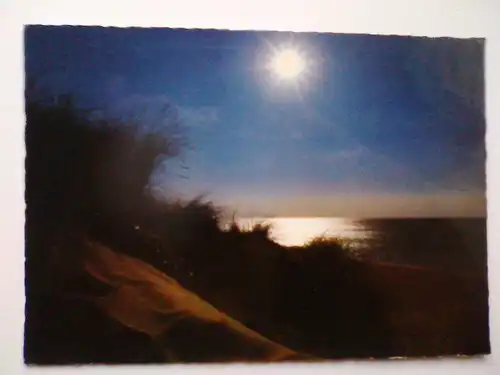 Nordsee - Dünen im Gegenlicht an der Nordsee - Duenen (1984 gelaufen) Ansichtskarte