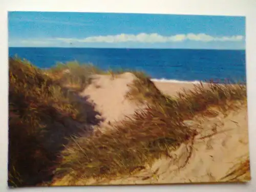 Sylt - Dünen am Meer - Nordseeinsel Ferieninsel Sylt - Duenen - Schleswig-Holstein (1979 gelaufen) Ansichtskarte