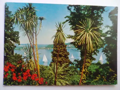 Mainau - Insel Mainau im Bodensee - Dracaenengruppe - Drachenbaum Drachenbäume Drachenbaeume Segelboot Segelboote etc. - Baden-Württemberg (vor 1994 gelaufen, klebte in einem Album) Ansichtskarte