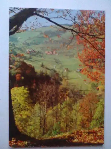 Herbst - Es herbstelt - Panorama - Karte von 1965 (1968 gelaufen) Ansichtskarte