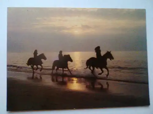 Pferde - Ausritt am Abend - Pferd Reiter Strand Sonnenuntergang etc. (ca. 1987 gelaufen, Rückseiten-Papier rechts etwas beschädigt) Ansichtskarte
