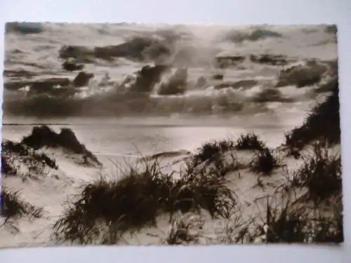 Wangerooge - Dünen und Strand - Niedersachsen (gelaufen) Ansichtskarte