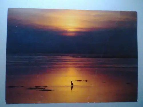 Sylt - Sonnenuntergang ? - Insel Sylt Schleswig-Holstein (1991 gelaufen, rechte Seite großer Knick) Ansichtskarte