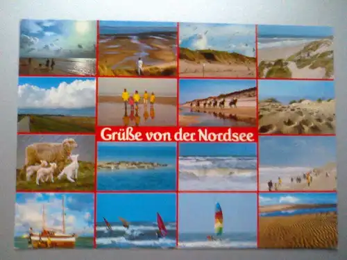 Nordsee - Grüße von der Nordsee - Surfer Schaf Lamm Lämmer Laemmer etc. Mehrbildkarte (1992 gelaufen) Ansichtskarte