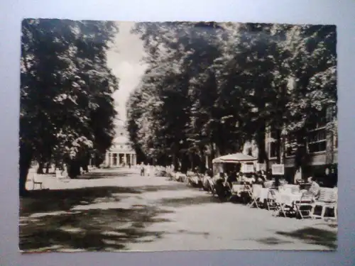 Bad Pyrmont - Kurpark Hauptallee - Niedersachsen (1959 (gelaufen) Ansichtskarte