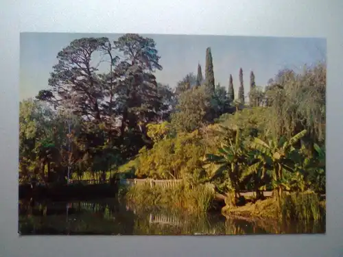 Adler / Sotschi - Park - Südrussland Russland (ungelaufen) Ansichtskarte