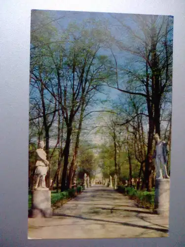 Leningrad / Sankt Petersburg - Sommergarten - Karte von 1980 - Russland (ungelaufen, leichter Knick) Ansichtskarte