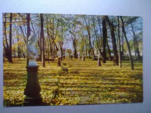 Leningrad / Sankt Petersburg - Sommergarten (Querformat) - Karte von 1980 - Russland (ungelaufen) Ansichtskarte