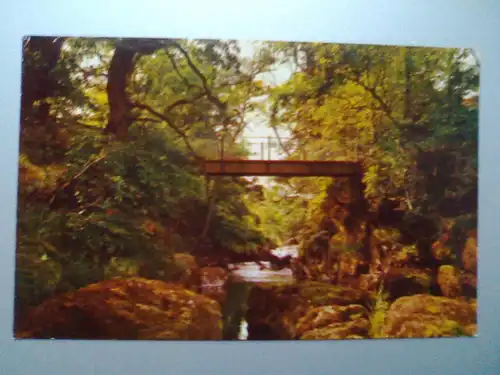 Llandrindod Wells - Alpine Bridge / Brücke - Wales (1966 gelaufen, inzwischen ohne Briefmarkle) Ansichtskarte