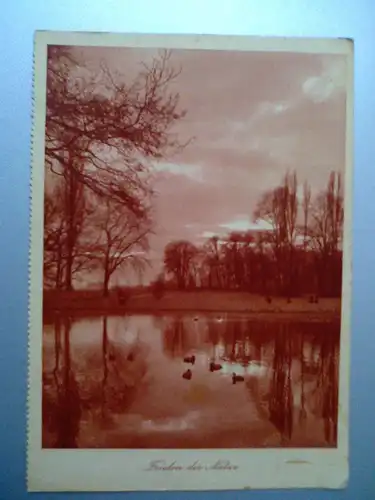 Natur - Frieden der Natur - Gewässer und Bäume - Ogo-Kaffee Bremen (ungelaufen, aber 1939 beschrieben) Ansichtskarte