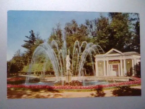 Petrodworez / Peterhof - Adam Fountain (mit Blumenbeet) - Brunnen - Petrodvorets Sankt Petersburg Russland (ungelaufen) Ansichtskarte