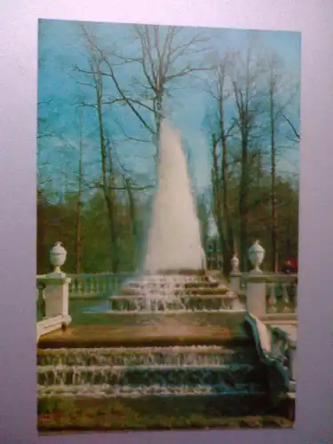 Petrodworez / Peterhof - Pyramid Fountain (mit Bäumen) - Brunnen - Petrodvorets Sankt Petersburg Russland (ungelaufen) Ansichtskarte