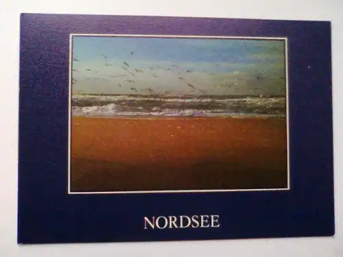 Nordsee - Möwen - Kunstkarte 5022 - Verlag Lübeck (ungelaufen) Ansichtskarte
