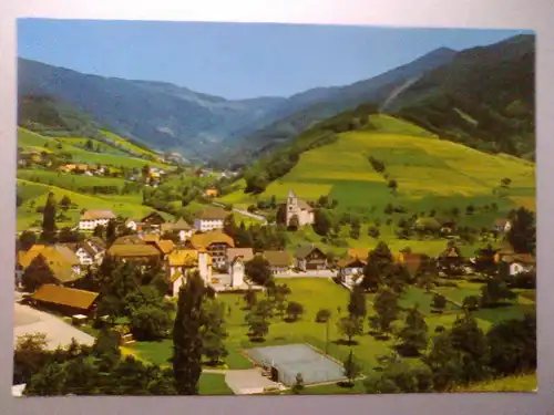 Simonswald / Simonswäldertal / Simonswälder Tal - Panorama - BW (ungelaufen) AK Ansichtskarte