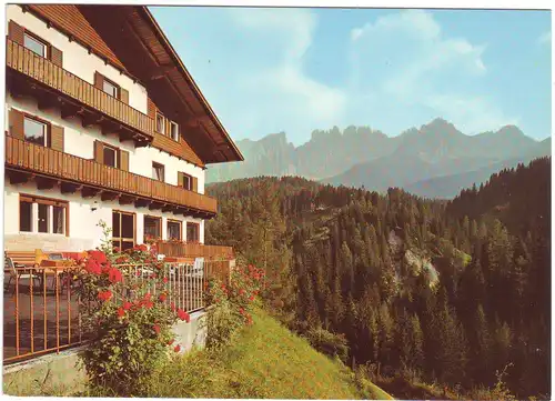 Welschnofen / Dolomiten - Pension Diana - Trentino-Südtirol Italien (ungelaufen) AK Ansichtskarte