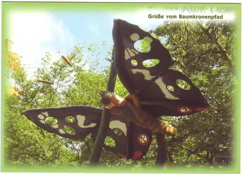 Bad Langensalza - Nationalpark Hainich - Baumkronenpfad (ungelaufen) AK Ansichtskarte