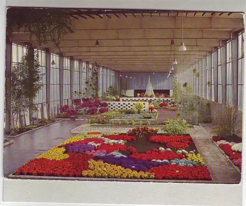 AK Stuttgart - Bundes Gartenschau 1961 - Blumenpracht (ungelaufen) AK Ansichtskarte