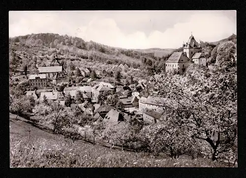 DDR Ansichtskarte  LIEBSTADT - Dresden - 11.8.69 - Mi.1371