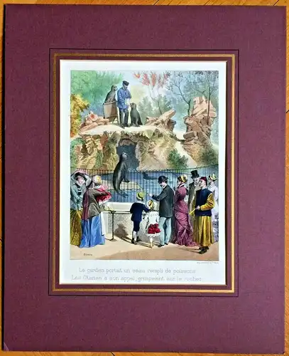 Colorierte Lithographie Szene in einem Tierpark von E. Duruy, ca. 1880